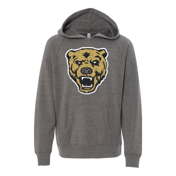 Vintage Bear Youth Hoodie