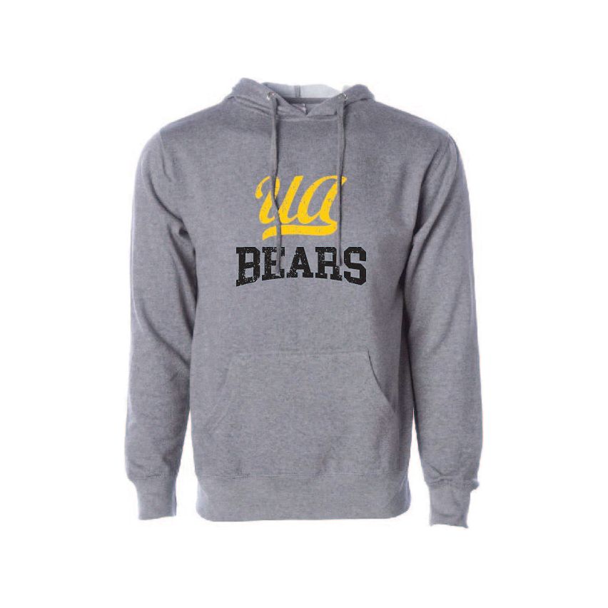 UA Script Hoodie