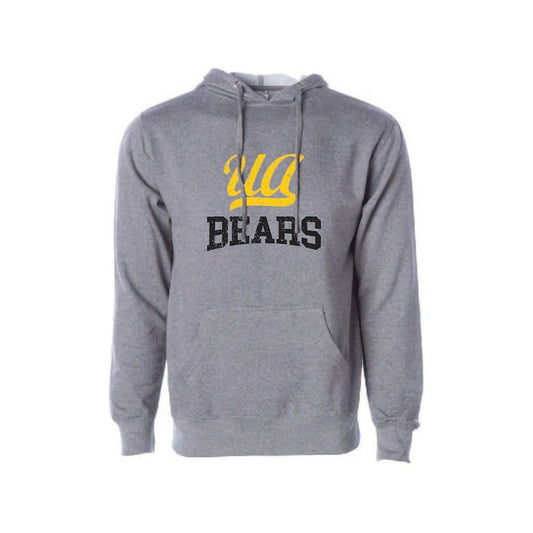 UA Script Hoodie
