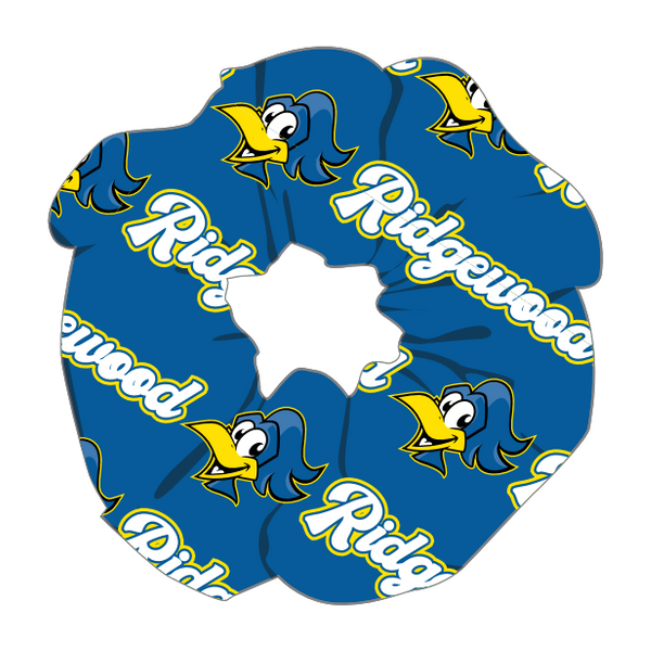 Roadrunner Scrunchies