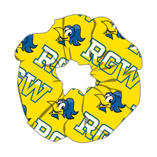 Roadrunner Scrunchies