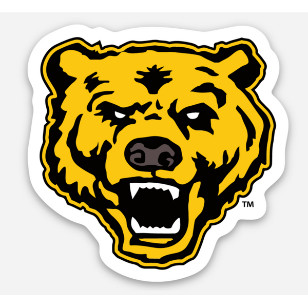 Bears Magnet