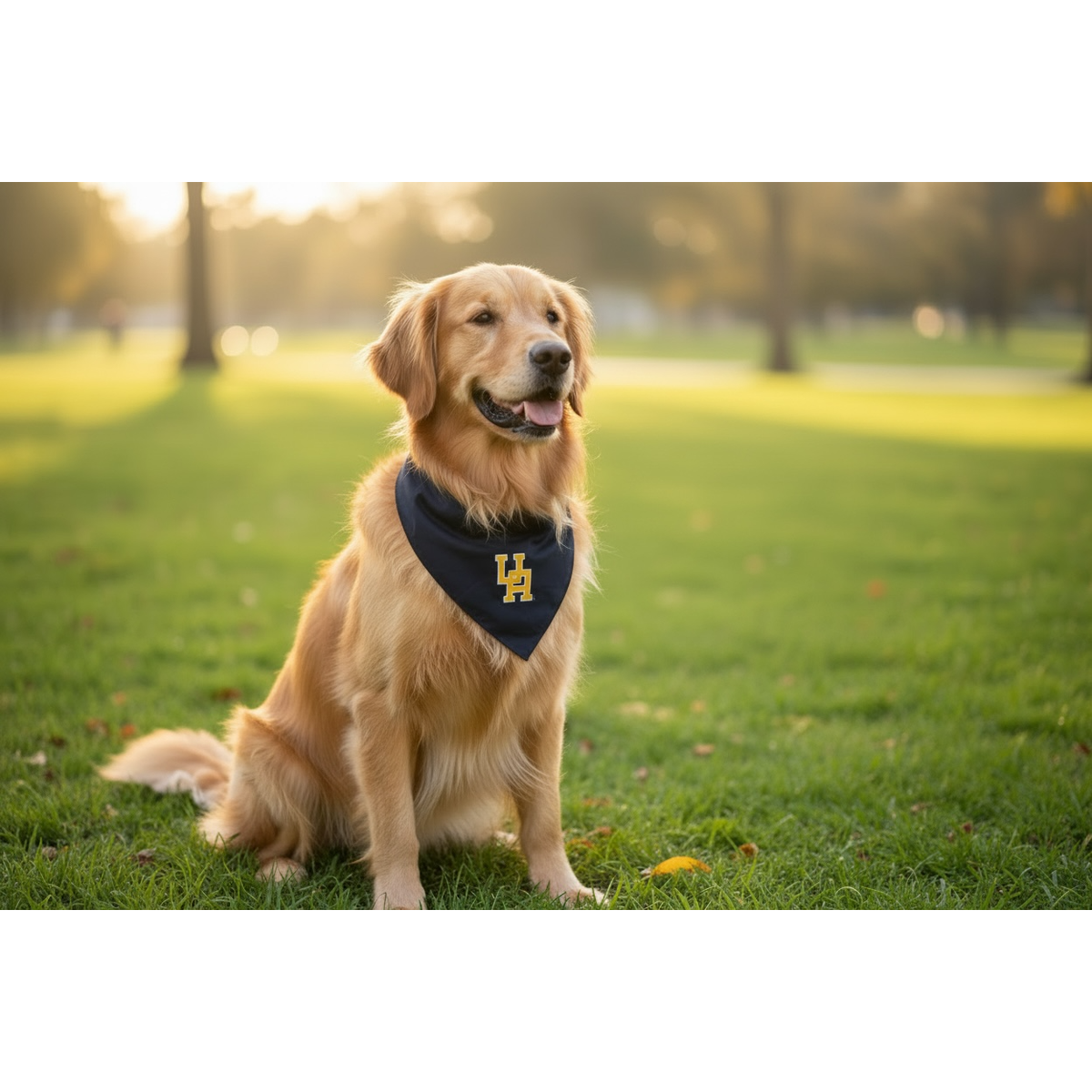 UA Dog Bandana